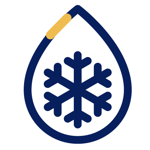 logo flocon de neige